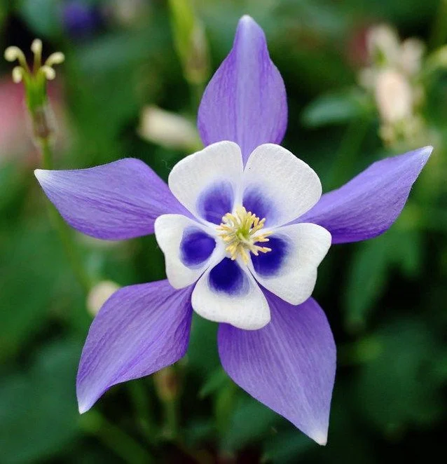 Decoding the Divine: How Math Points Back to the Maker